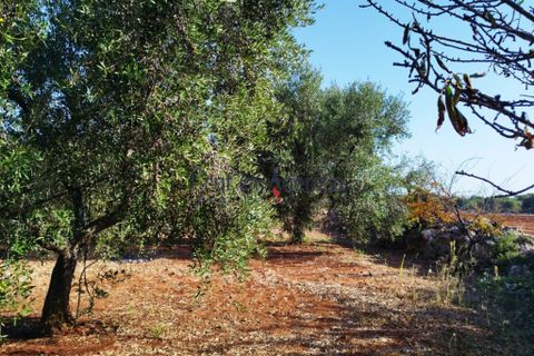 Landejendom i Carovigno, Brindisi, Carovigno - € 140.000 | Ref: 122621 - foto 15